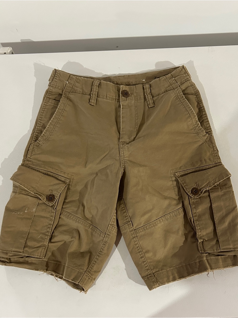 Men's Cargo Shorts in Khaki - American Eagle